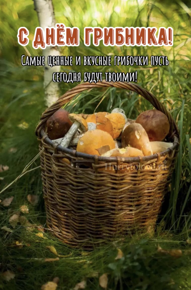 Осенние дары природы