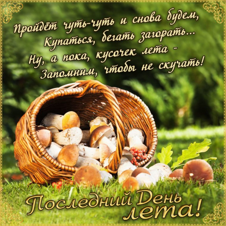 Картинки с поздравлением день грибника число месяц год