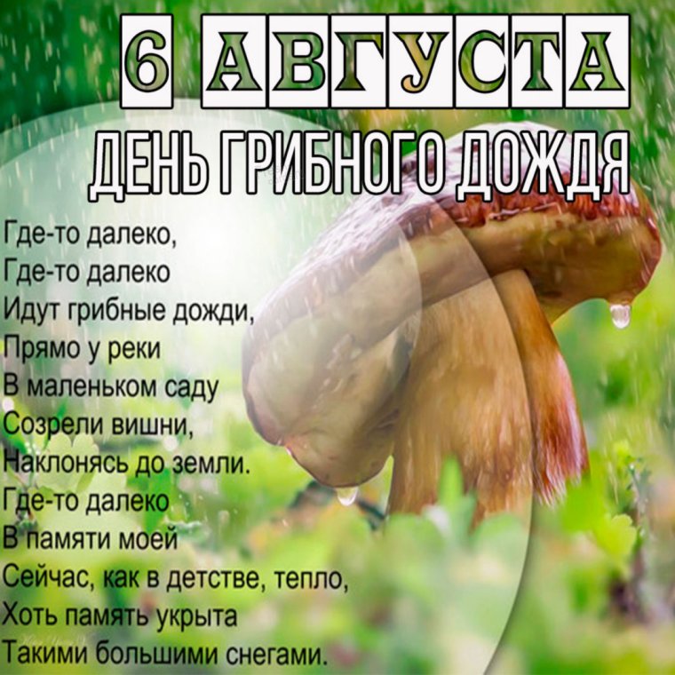 Лес грибы ягоды