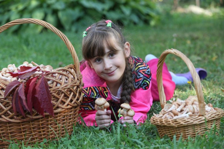 Доброе утро грибы