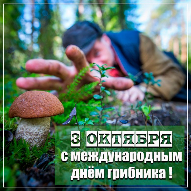 Удивительный мир природы