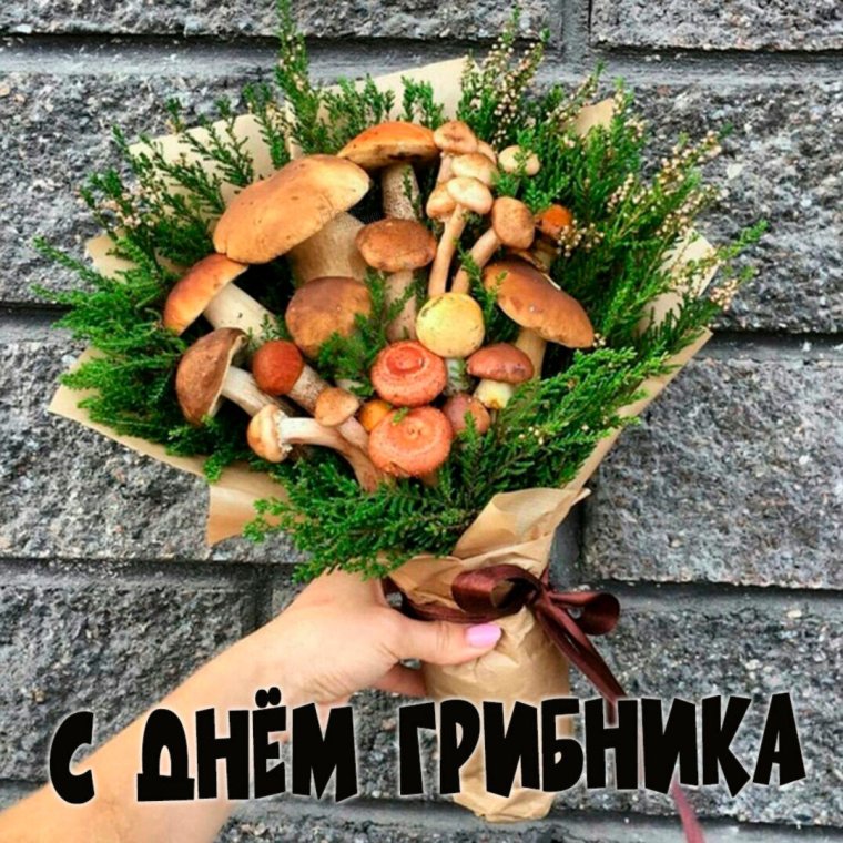 Открытка с днем грибника