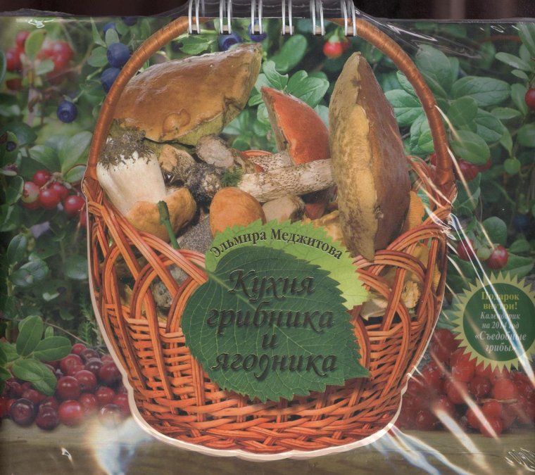 День грибника