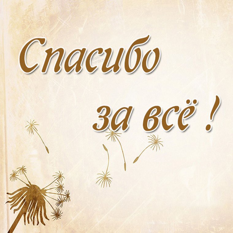 Открытки спасибо мужчине