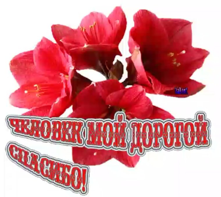 Открытка спасибо