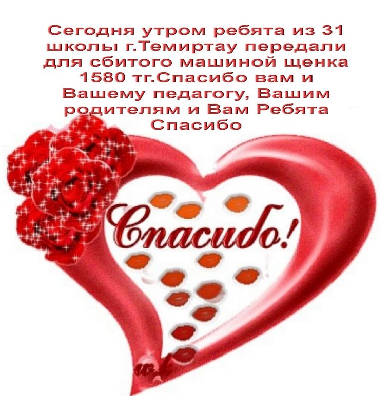 Спасибо картинки