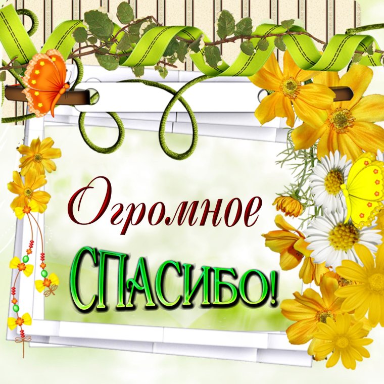 Благодарственные открытки