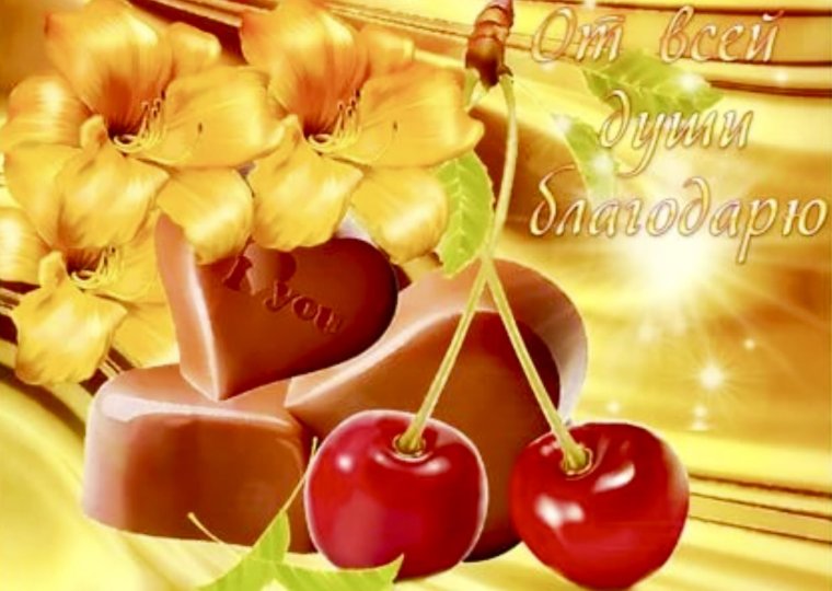 Сердечное спасибо