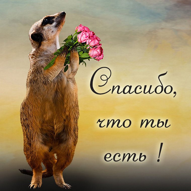 Открытка спасибо за подарки и внимание