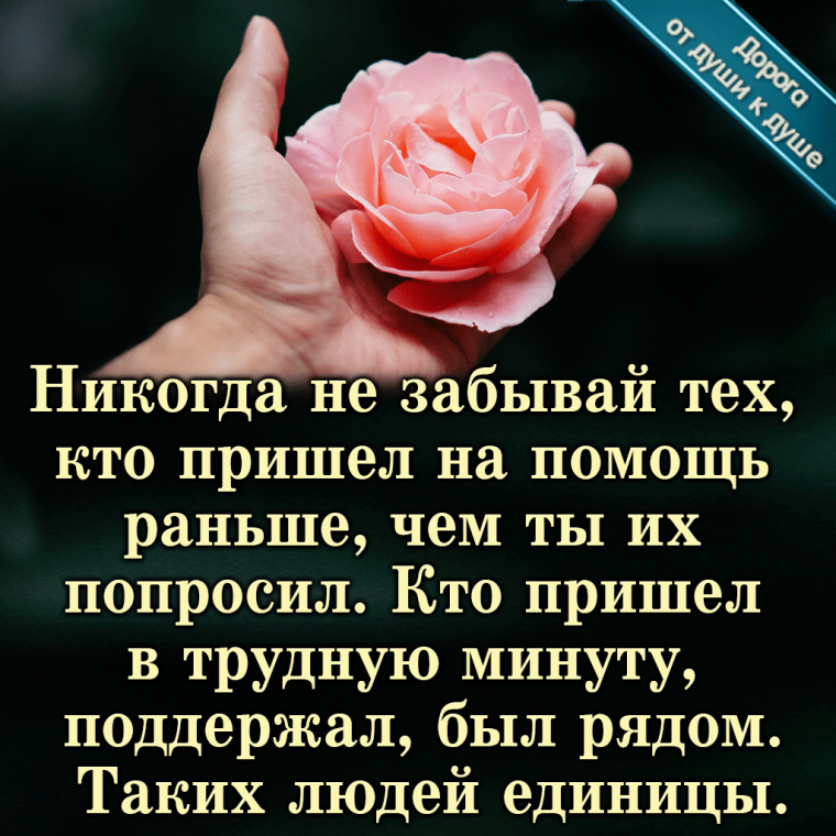 Красивые слова поддержки