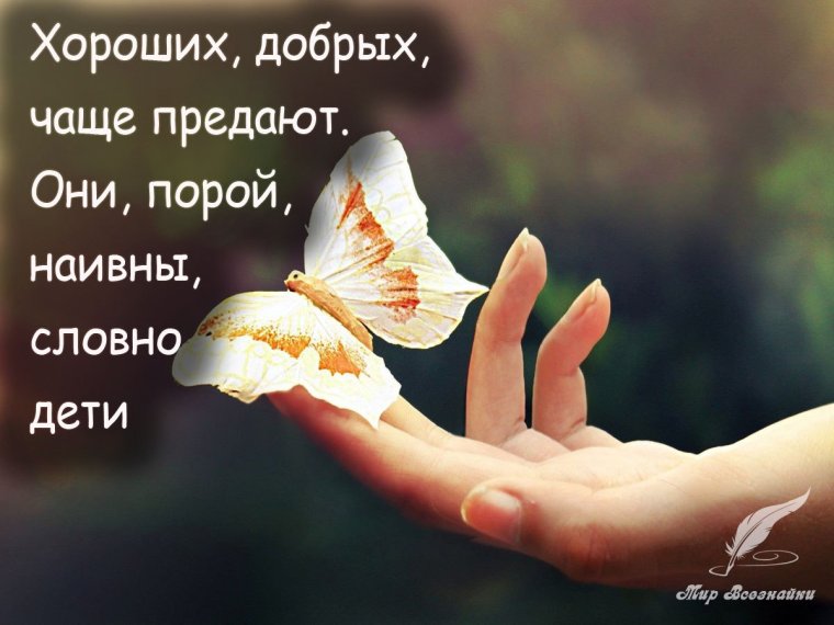 Красивые статусы про доброту