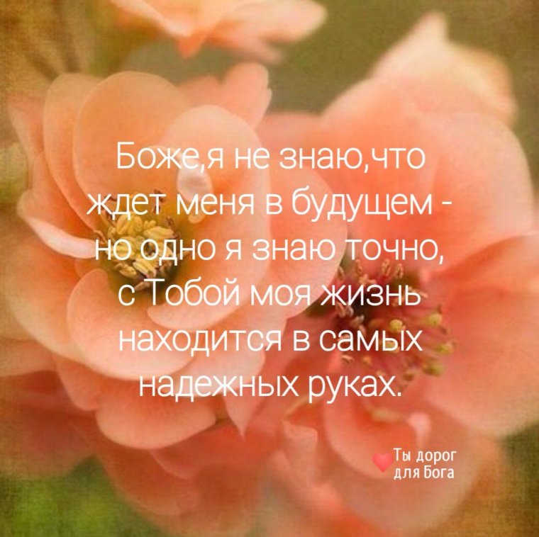 Красивые цитаты из Библии