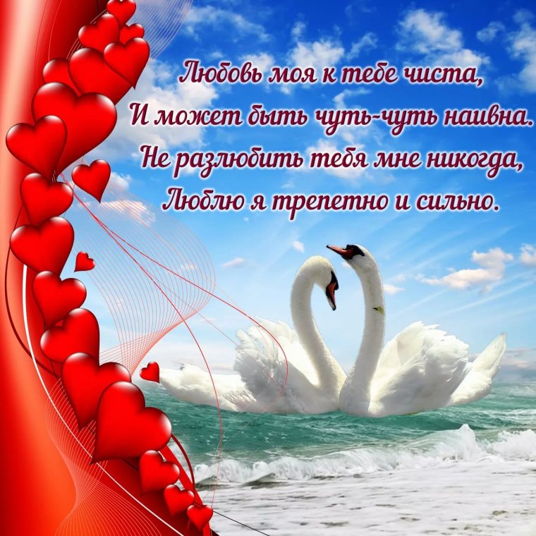 С днём рождения любимый