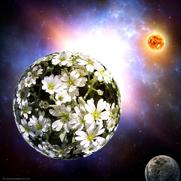 Цветущая Планета