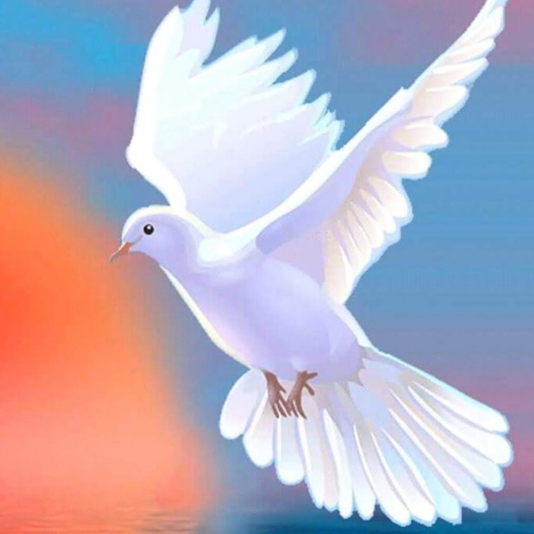 Мирное небо голуби