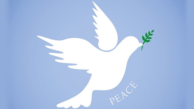 Белый голубь