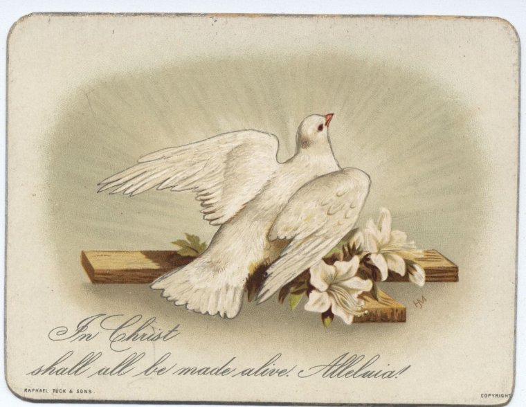 Тинчлик неъмати