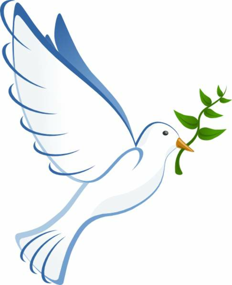 1 Мая голубь