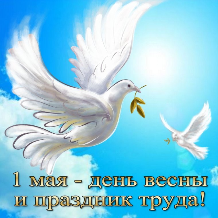 Голубь счастья