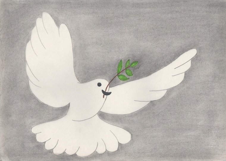 Изображение голубя мира