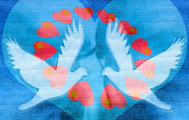 Белый голубь с оливковой ветвью