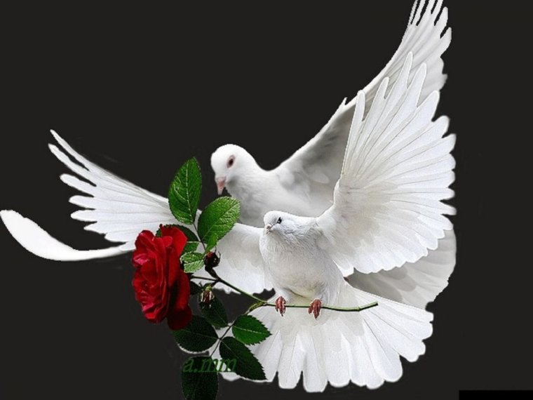 Батик голуби