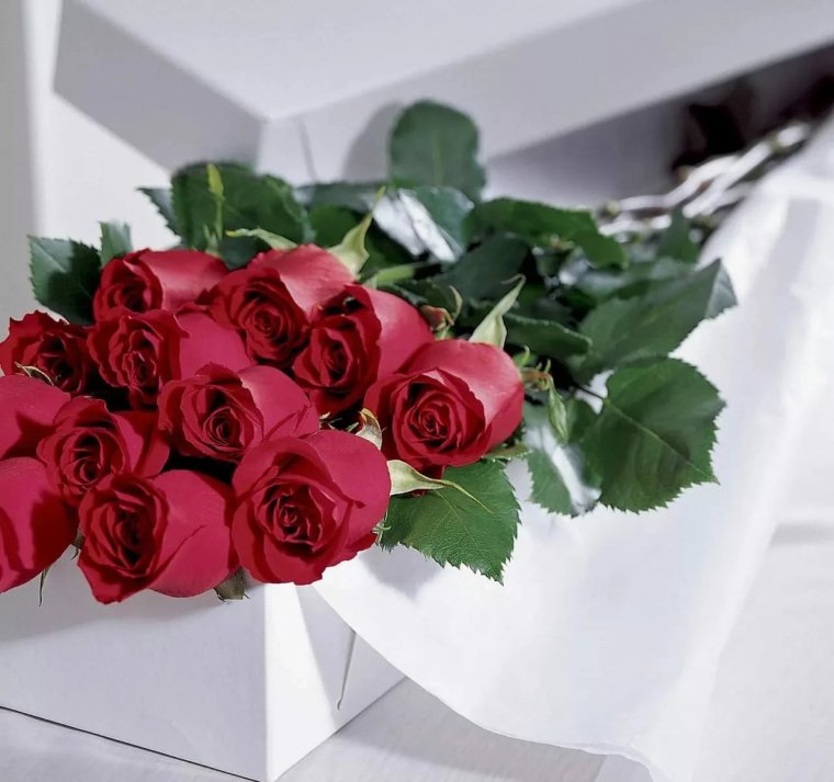 Розовые розы