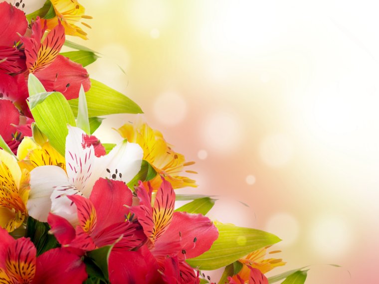 Поздравительные открытки с днем рождения