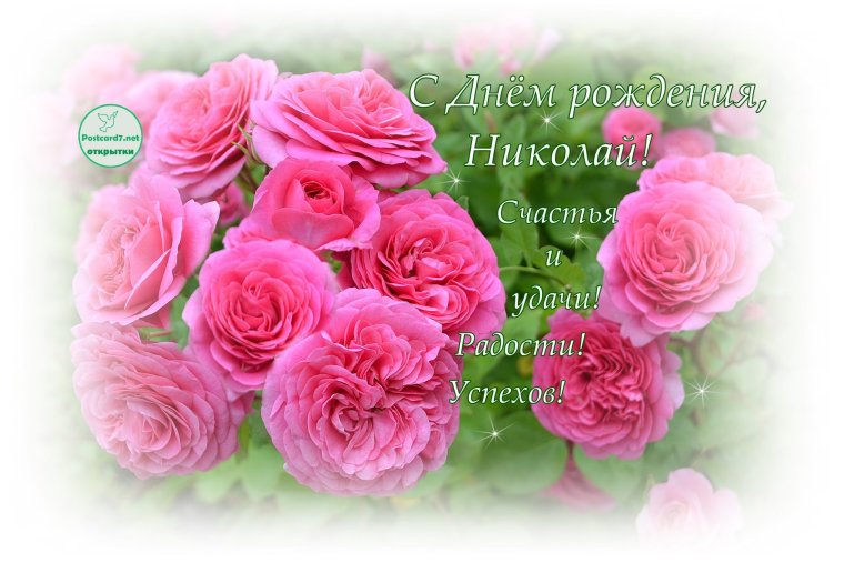 С днёмрожденияниколай