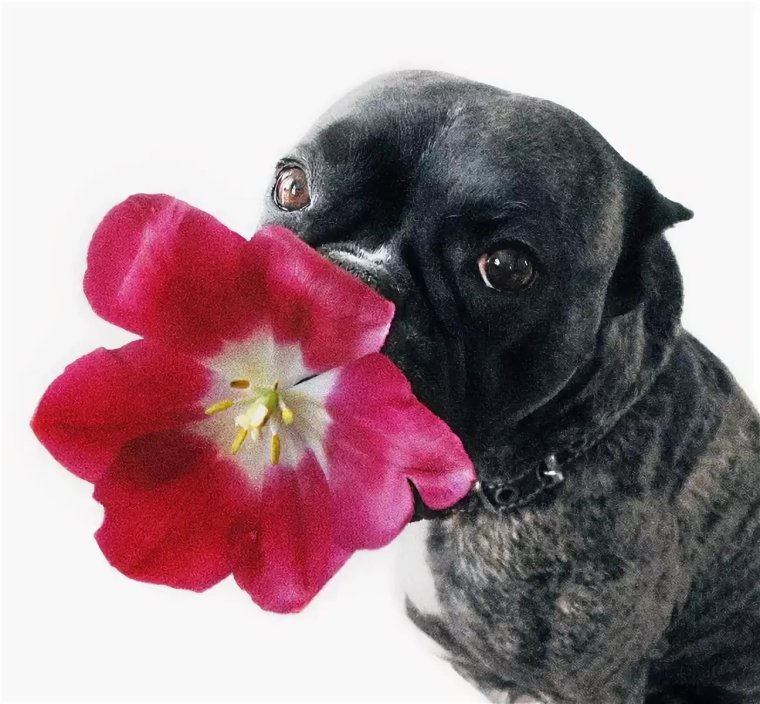 Не нервничать