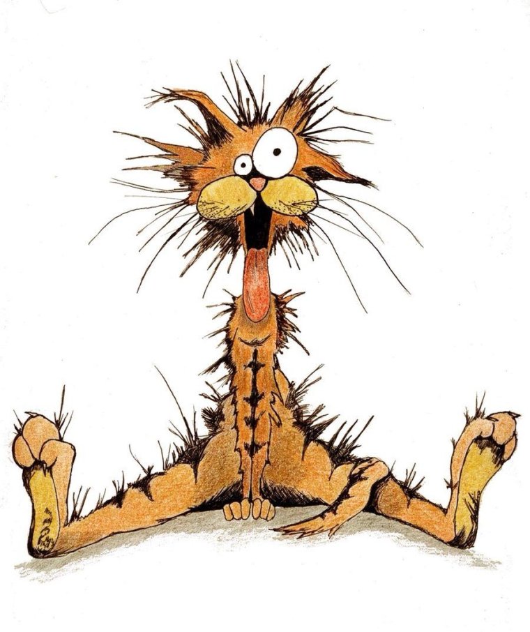 Удачного дня с юмором