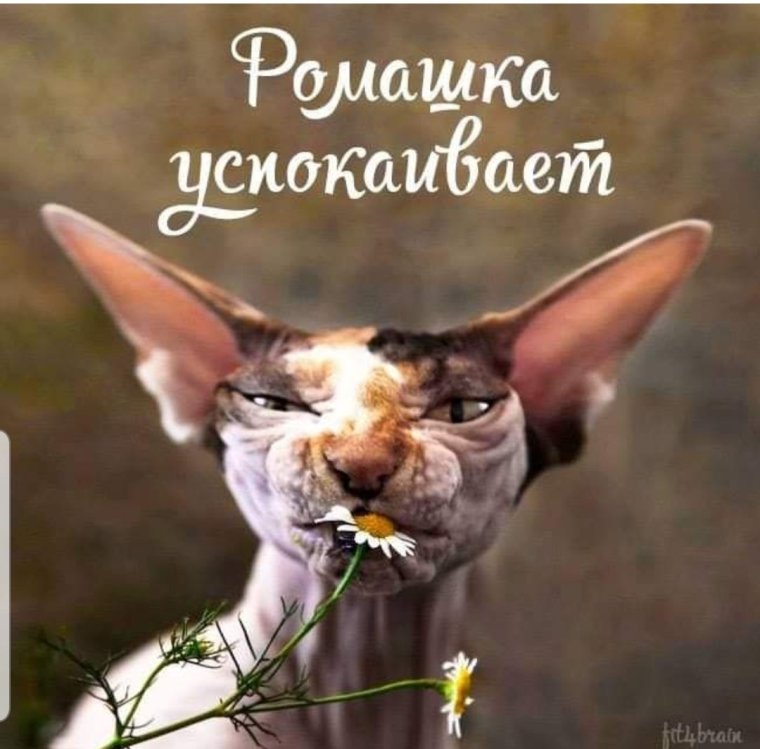 Утренние пожелания позитивные