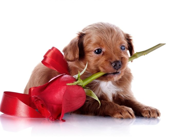 Пожелания не нервничай