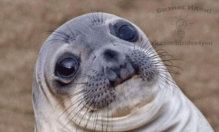 Художник Алексей Долотов Ксенопус Xenopus