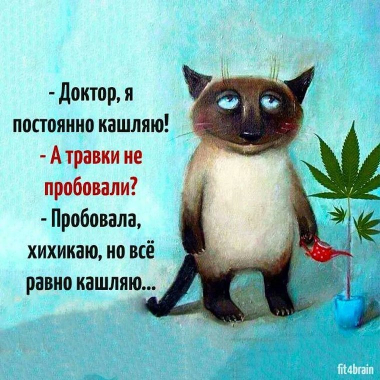 Позитивные цитаты