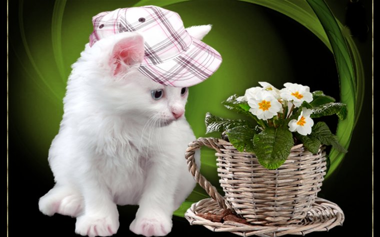 Я просто узнать как ты