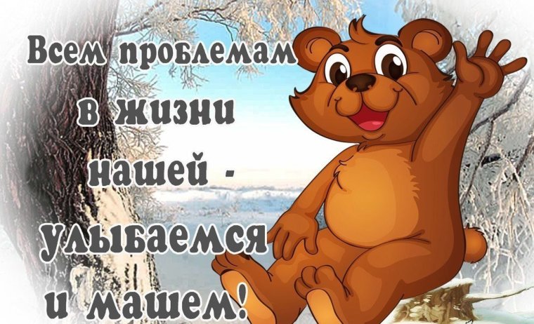 Смешные истории про животных