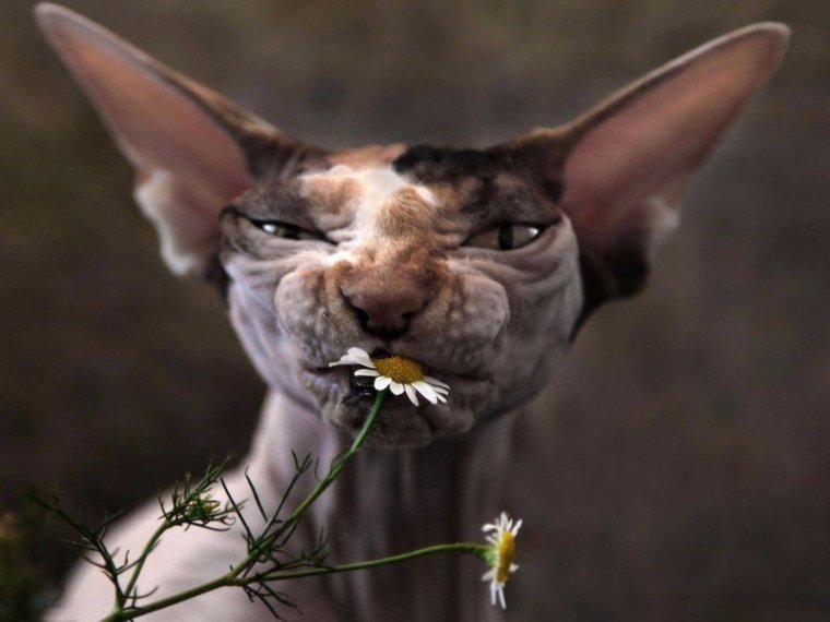 Стихотворение про будни