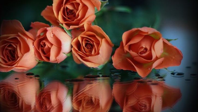 С 8 марта Ландыши