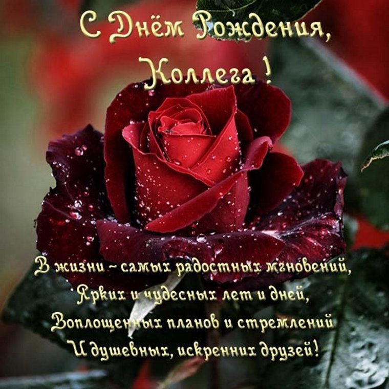 Поздравления с днём рождения жене брата