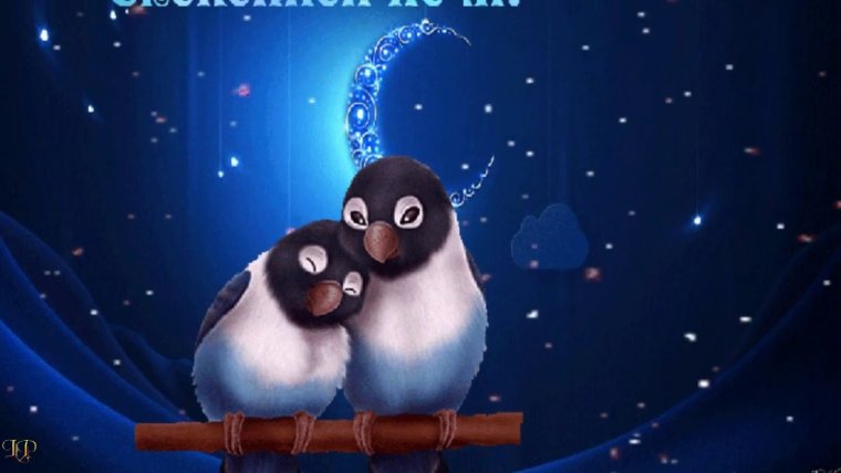 Цветы с пожеланием спокойной ночи женщине