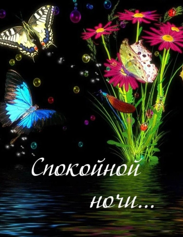 Пожелания спокойной ночи