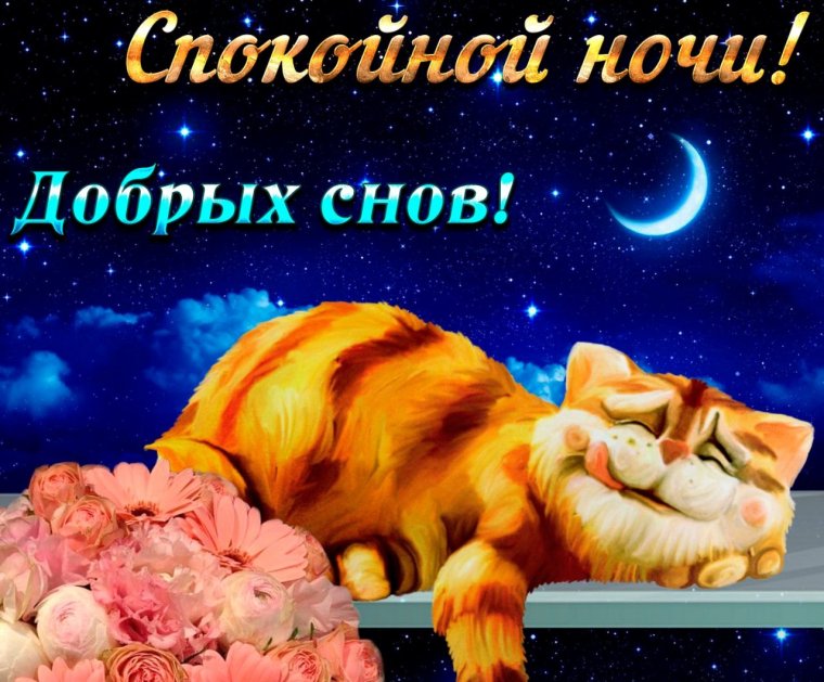 Спокойной ночи сладких снов