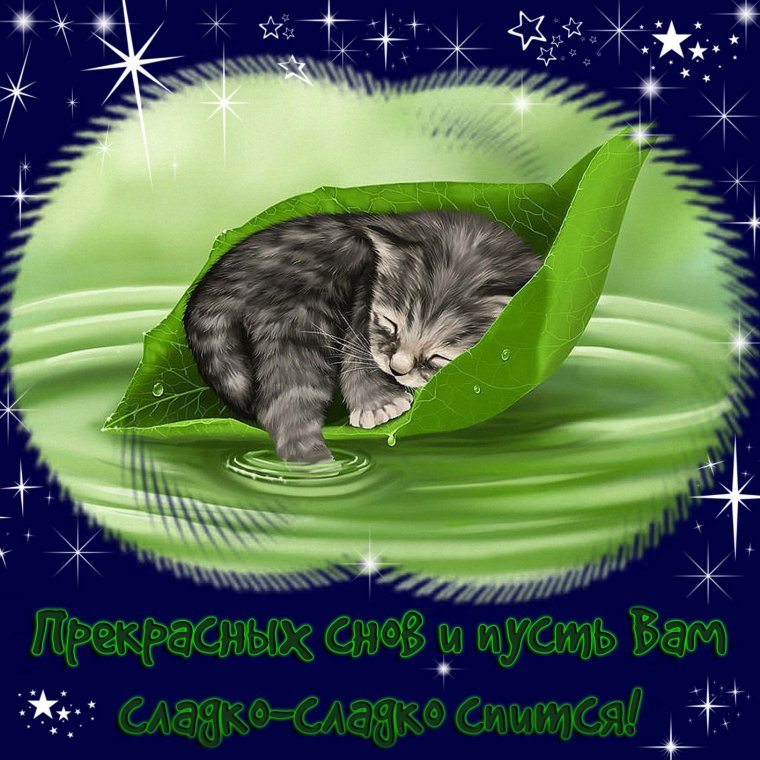 Доброй ночи сладких снов