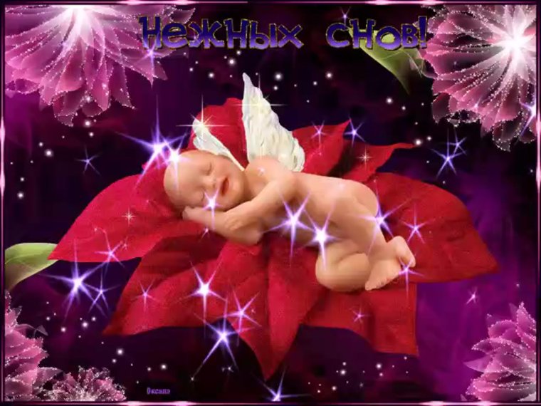 Пожелания спокойной ночи