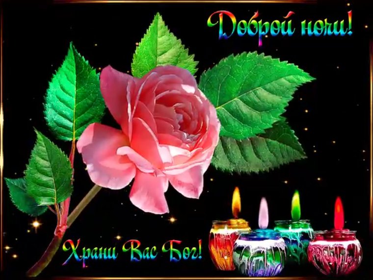 Лотос и Луна