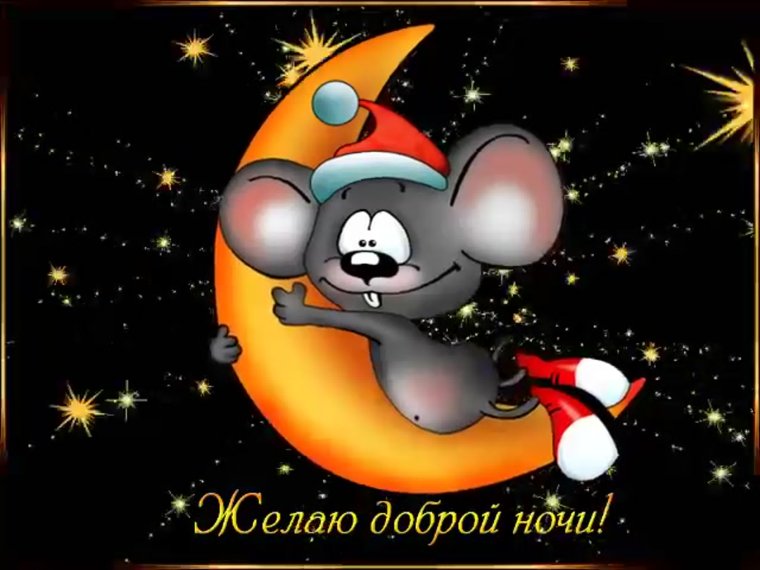 Прикольные пожелания спокойной ночи