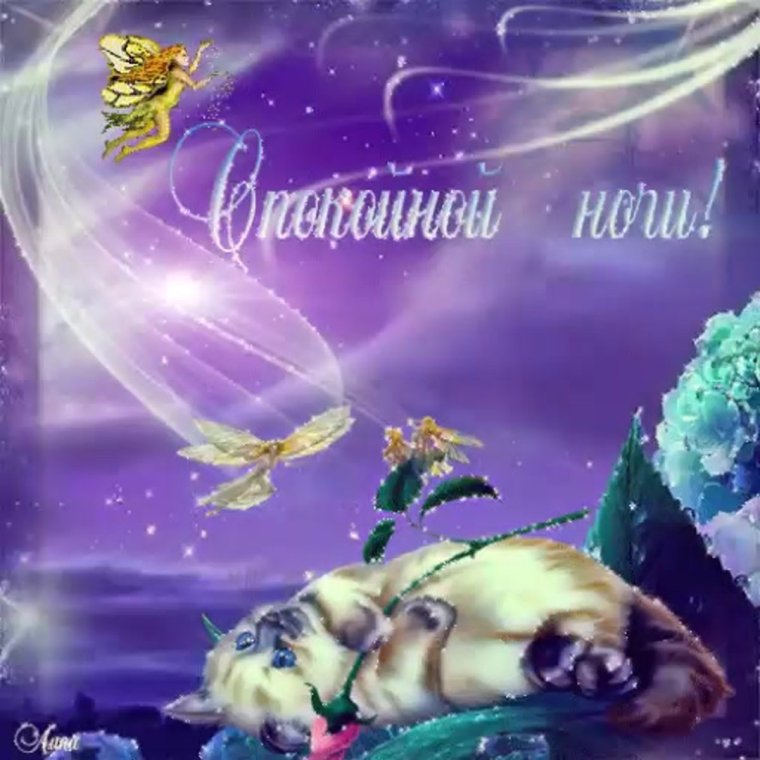 Открытки доброй ночи