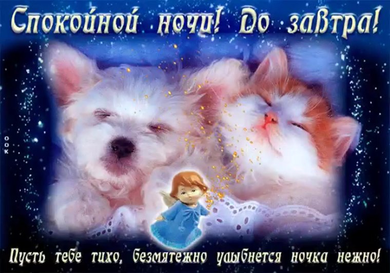 Добрых нежных снов