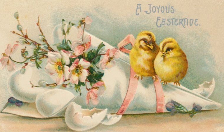 Вышивка лентами кот